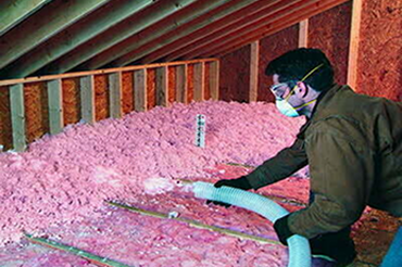 atticat-installation.jpg 1